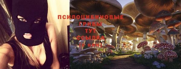 трава Алексин